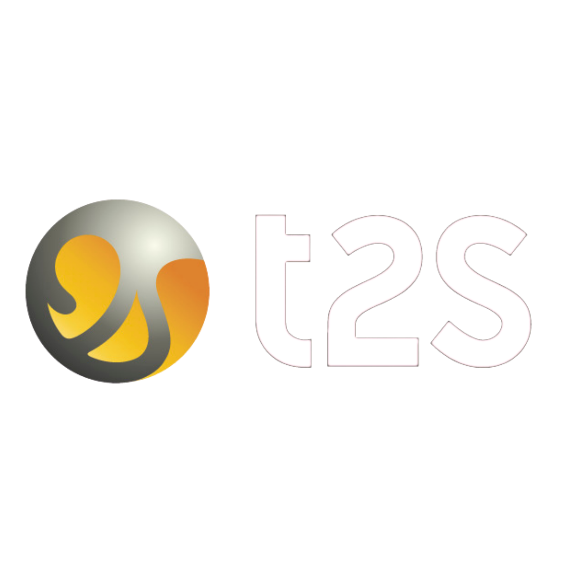 T2S